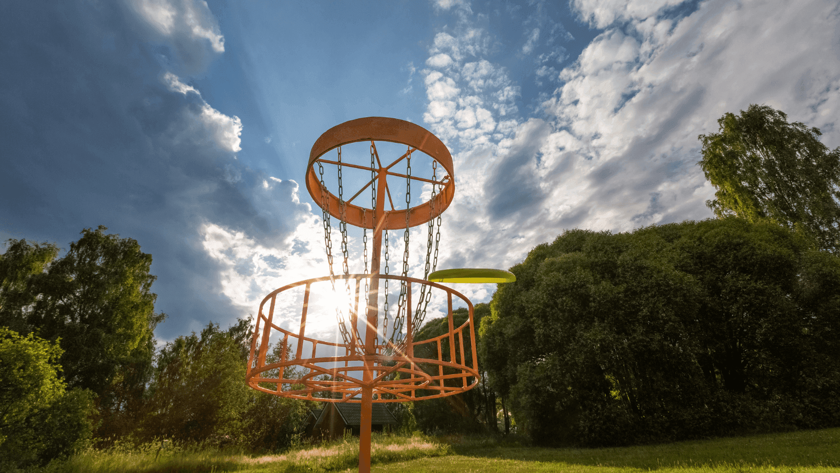 Disc Golf