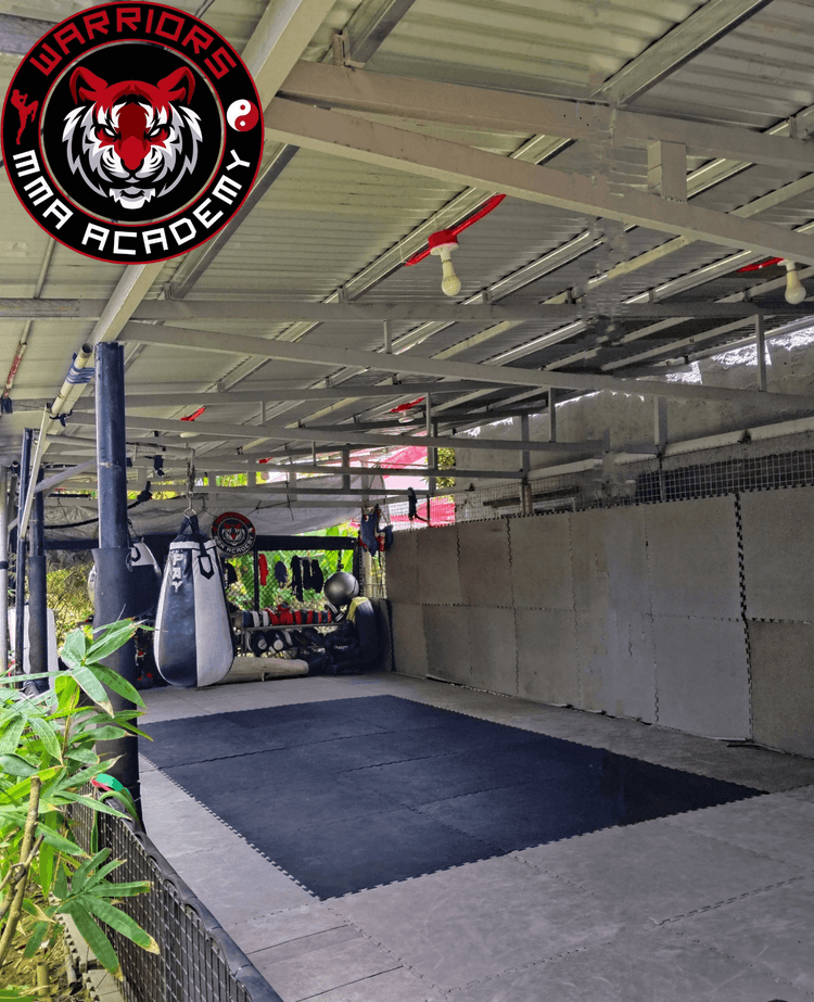 Warriors MMA Academy showcase image
